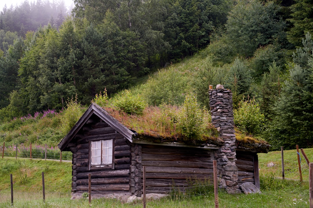 Charming old log cabin with stone chimney and grass on the roof, near to Nesbyen, Norway