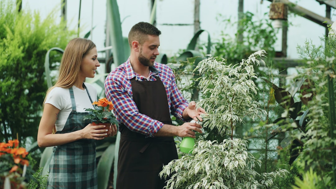 Attractive couple work in greenhouse. Man gardener in apron watering plants and flowers with garden sprayer while his girlfriend talking him